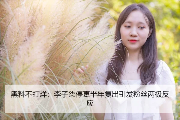 黑料不打烊：李子柒停更半年复出引发粉丝两极反应